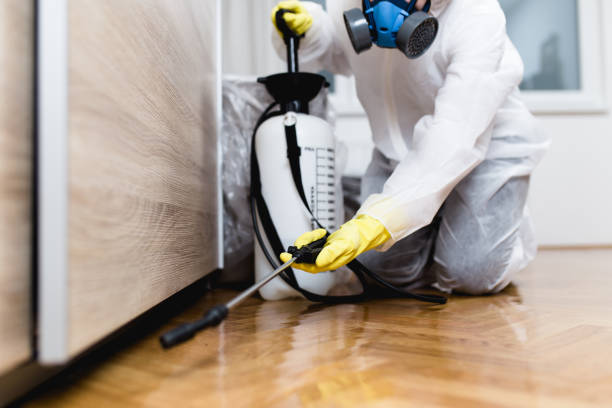 Best Mosquito Control Services  in Sugarland Run, VA