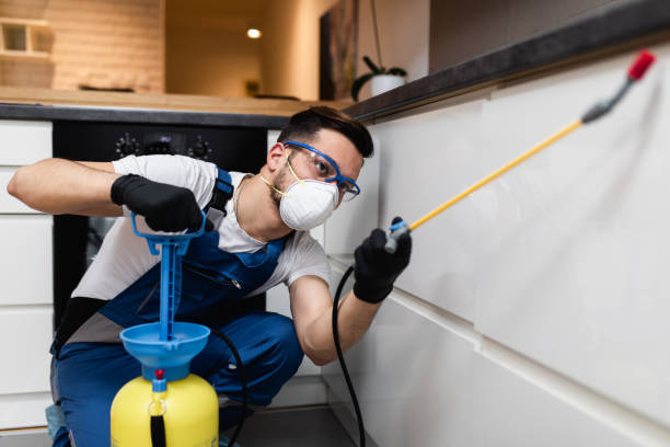 Best Affordable Pest Control Services  in Sugarland Run, VA