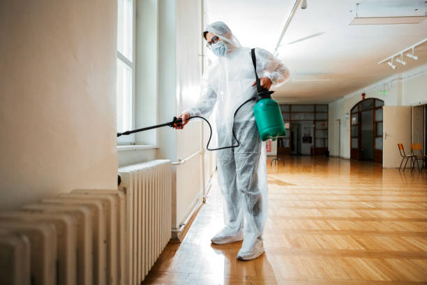 Best Local Pest Control Services  in Sugarland Run, VA