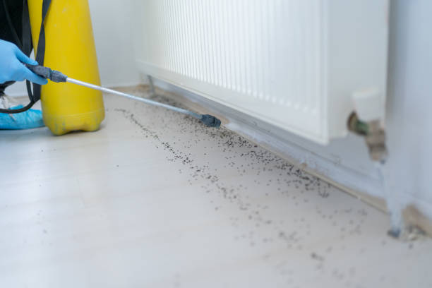 Best Pest Removal Services  in Sugarland Run, VA