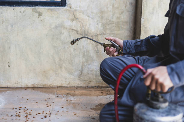 Best Affordable Pest Control Services  in Sugarland Run, VA